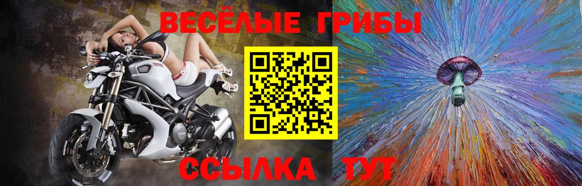 Псилоцибиновые грибы мухоморы Медногорск